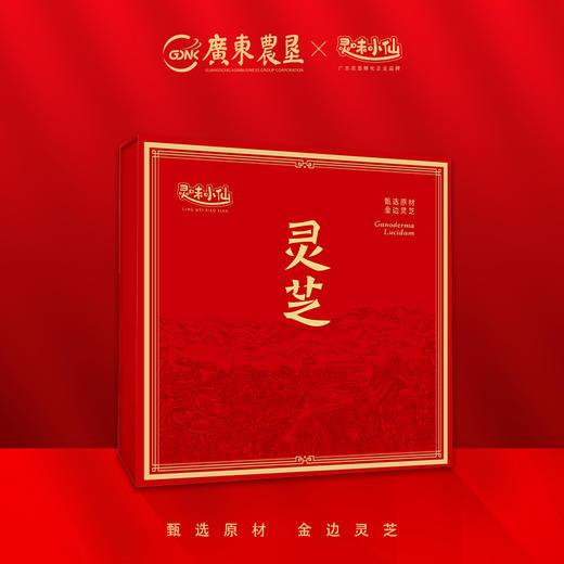 【自营】25年灵味小仙 金边灵芝 698型 广东农垦灵芝 商品图1