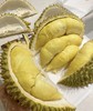 金凤树熟金枕榴莲   29.9元一斤 大黄肉小核 商品缩略图5