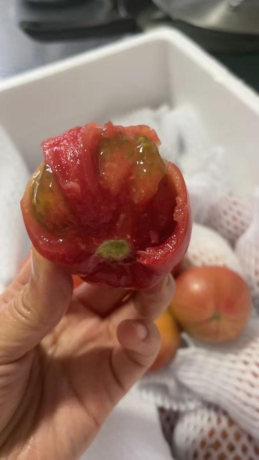 自种番茄5斤装 商品图0