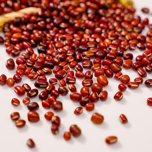 溢田黑土优品东北红小豆 500g 商品图2