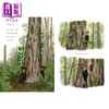 预售 【中商原版】当一棵树倒下时 When a Tree Falls 英文原版 儿童科普知识绘本 探索自然图画书读物 进口童书 精装 6岁以上 商品缩略图4