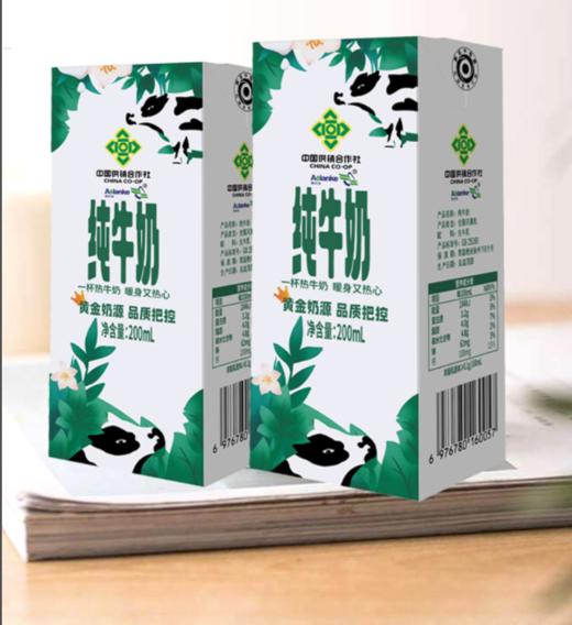 河南供销牛奶200ml×10 商品图1