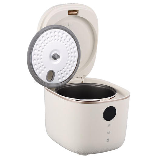 大宇 智能电饭煲DYFB-503L【JKYGH51 3.0】 商品图8
