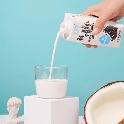 你好椰鲜椰乳 椰香浓郁 自然好椰 全都是好椰 商品图1