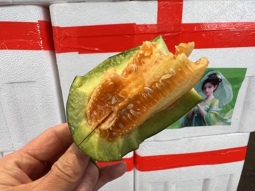 周二取货：【定金链接】特惠11.8元/斤，绿美人，清香甜蜜爽口，一份4个，预付定金10元，到店称重补差价。 商品图2