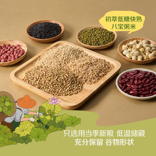 初萃每日低糖快熟粥米礼盒1.6kg/盒 商品图3