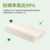 【乳胶枕买一赠一】乳胶工厂大折扣来了 绕过各种坑找到的乳胶床垫 贝奇特乳胶床垫/枕头 商品缩略图6