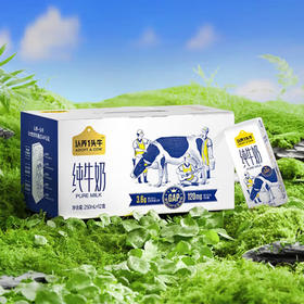 认养一头牛3.6g蛋白纯奶250ml*12盒