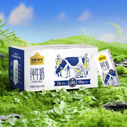 认养一头牛3.6g蛋白纯奶250ml*12盒 商品图0