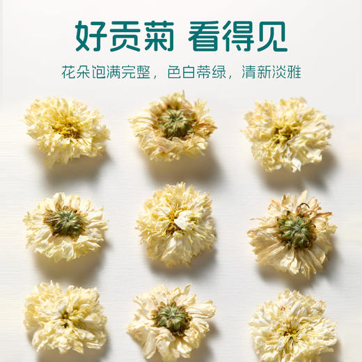 【专区3件83折】艺福堂 黄山贡菊 黄山原产 45克 商品图2