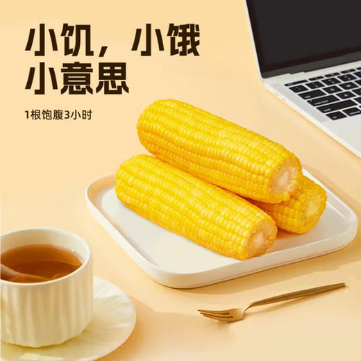 失重密码 真空袋装即食水果玉米棒 220g*8棒 商品图2