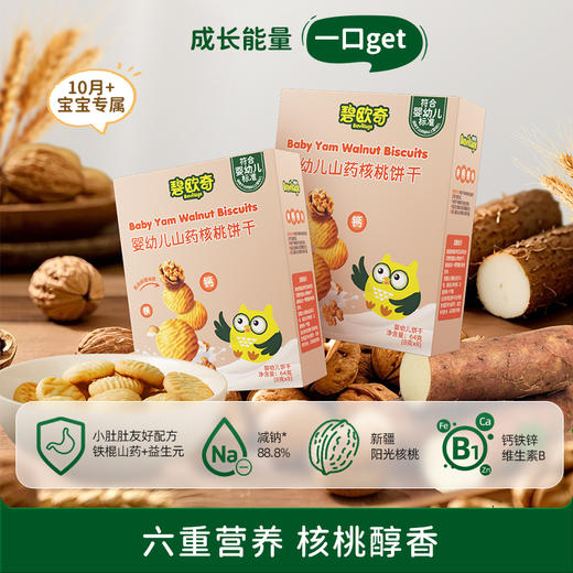 【六重营养核桃醇香】碧欧奇婴幼儿山药核桃饼干64g 商品图0