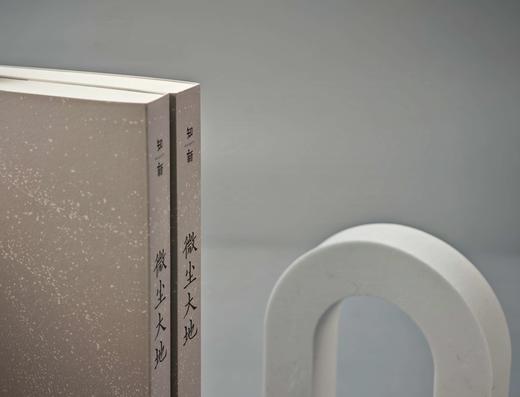 微尘大地    凌仕江  著   凌仕江最新散文精选结集，一部心灵的剖析史 商品图4