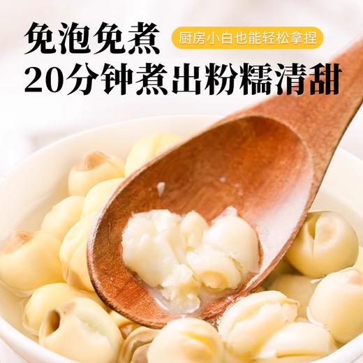 在菌屋 正宗建宁莲子250g/400g 手工去芯 颗颗饱满 肉质细腻嫩滑 久煮不散 商品图4