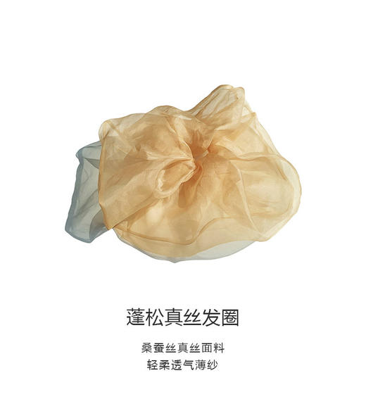 🎀【XINSHE心奢饰桑蚕丝欧根纱发圈、抓夹】绝美早春发饰！✅风格不受限，轻松点亮穿搭 ✅优质原材料，🥰质感好，不扯发 可以很女人，可以甜，可以冷！一秒摆脱路人感~~ 商品图7