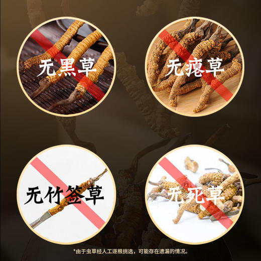 雷允上冻干冬虫夏草10g/盒（-32） 商品图6