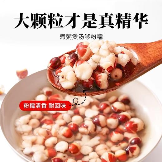在菌屋 肇庆大颗粒芡实800g/罐 12mm以上饱满大果 皮棕红肉雪白 口感粉糯清甜 商品图4