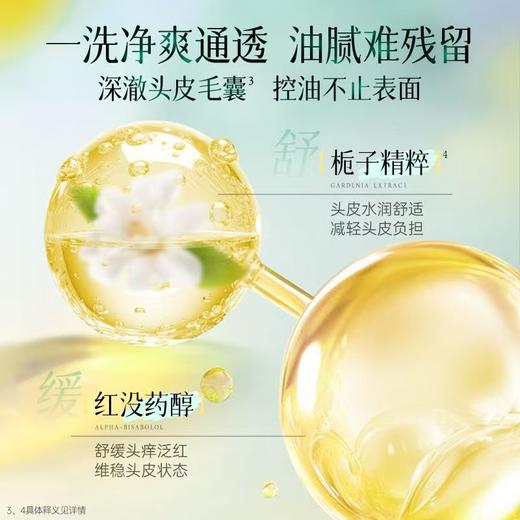 拉芳洗发水栀子香氛控油蓬松去屑持久留香洗发露500g 商品图3