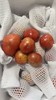 自种番茄5斤装 商品缩略图3