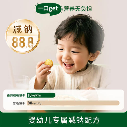 【六重营养核桃醇香】碧欧奇婴幼儿山药核桃饼干64g 商品图3