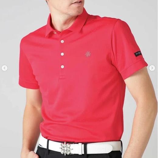 日本St ANDREWS高尔夫男装夏季吸汗速干翻领短袖T恤 商品图0