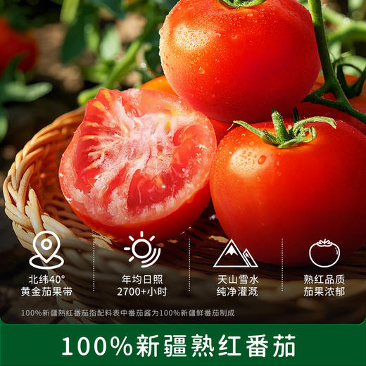 【0添加，安心吃】碧欧奇婴标果酱番茄酱100g 商品图2