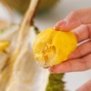 马来西亚 D197 猫山王榴莲（液氮冷冻果） 商品缩略图8