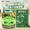 俄式酸黄瓜俄罗斯风味0脂酸乳青瓜德国汉堡沙拉酱下饭菜腌制泡菜 商品缩略图1