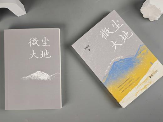 微尘大地    凌仕江  著   凌仕江最新散文精选结集，一部心灵的剖析史 商品图7