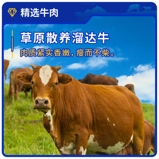 风干牛肉干100g*5袋 商品图4