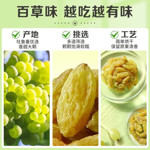 百草味 无核绿葡萄干 100g 商品图2