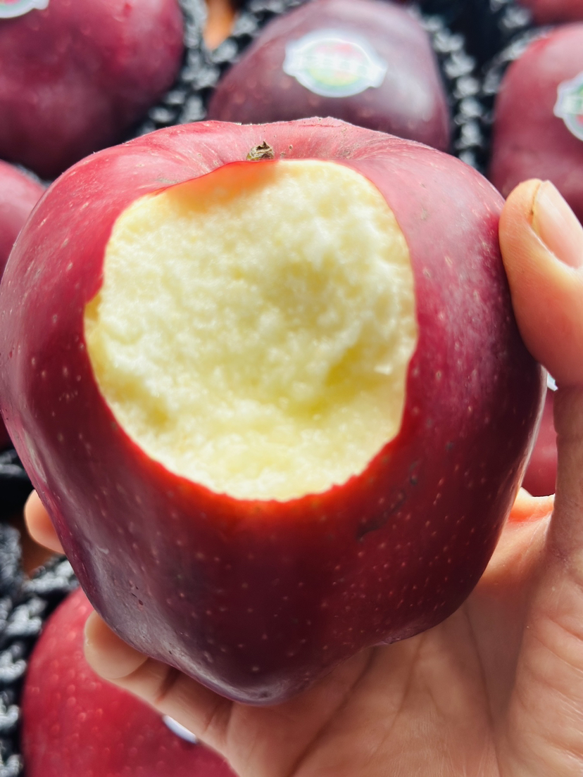 蜂糖花牛苹果🍎来自全国核心的天水花牛村，不打蜡、不催熟、不泡药，果肉越放越粉越香甜，细腻的就像一口抿化一样的！约6斤/箱
