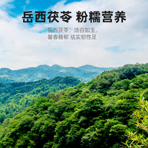 【杞里香岳西白茯苓块】买一送一，共500g  老树茯苓切皮切块 原色米白 整齐平滑 商品图4