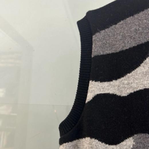 腊肠狗春秋款马甲 商品图4