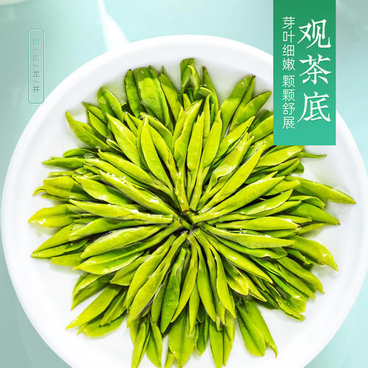 茶马世家丨龙井茶 早春头采 绿茶 特级 罐装 50g 商品图7