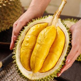 马来西亚 D197 猫山王榴莲（液氮冷冻果）