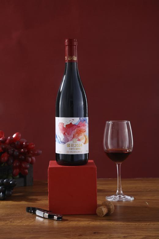 昙花2024 商品图0