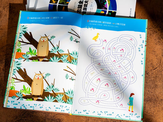 《法国经典思维力游戏书》（全5册+玩具盒）冒险闯关+益智游戏，全面锻炼孩子左右脑思维，大脑开发+思维训练+专注力培养 商品图12