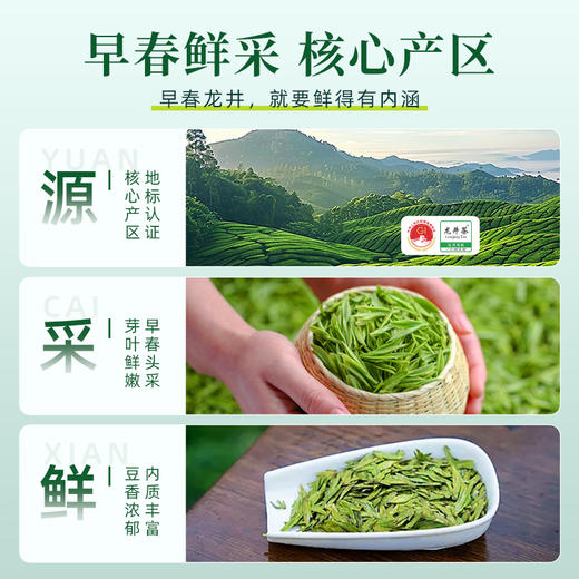 茶马世家丨龙井茶 早春龙井 绿茶 一级 200g 单铁罐装 商品图1