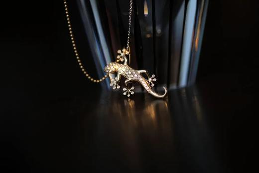 守宫｜守财，守家，守运 商品图1