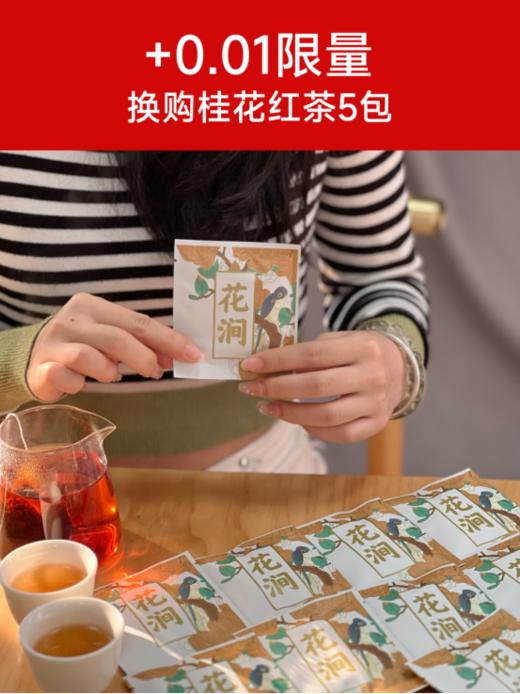 🔥超值福利【强韵味觉茶叶盲盒】13种口味！🌈非遗传承、制茶大师林来兴监制出品！ ✅限时秒杀价，品牌直发 源头工厂 ✅年轻人不做选择 13款小茶饼都带回家 商品图7