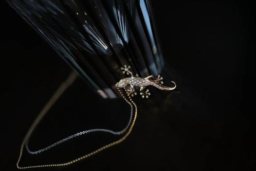 守宫｜守财，守家，守运 商品图4