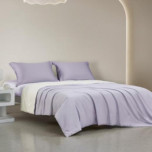 梦洁 长绒棉纯桑蚕丝四季被子：乾坤蚕丝被 商品图1