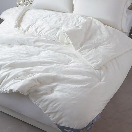 梦洁  德国芯进口抗菌四季被：金海 商品图1