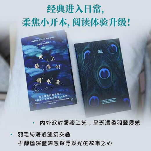 世上最美的溺水者 《百年孤独》梦中番外 马尔克斯短篇小说杰作 商品图3