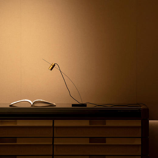 摩根垂钓系列聚光台灯 商品图11