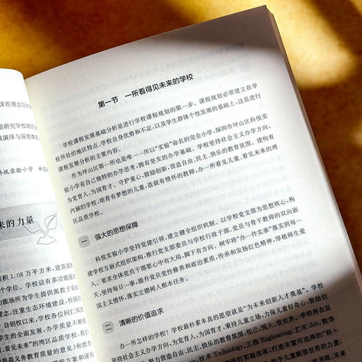 高品质学校课程体系 课程治理现代化丛书 王琦 特色课程建设 商品图8