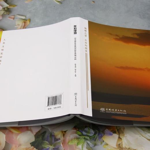 多彩湿地：河北蔚县壶流河国家湿地公园 &2778 商品图3