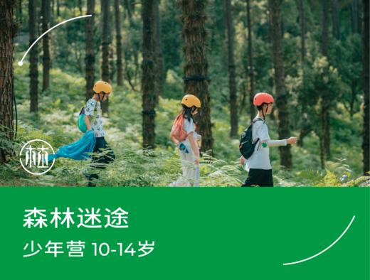 预约·森林迷途（10-14岁） 商品图0