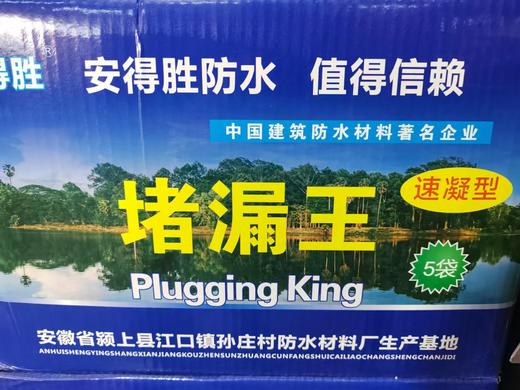 堵漏王 商品图0